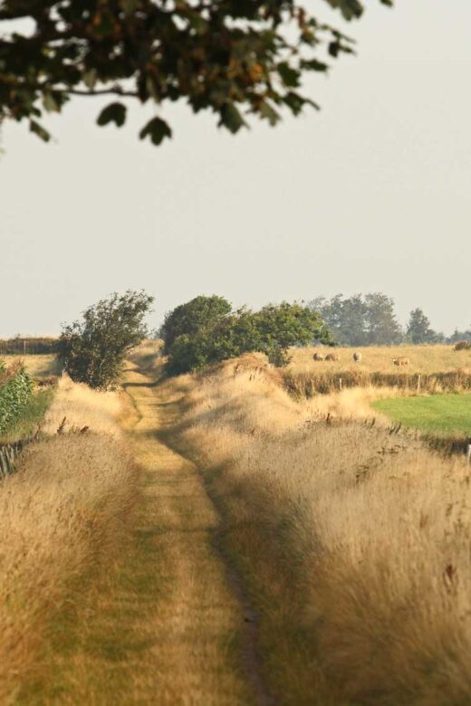 Hoge Berg Texel