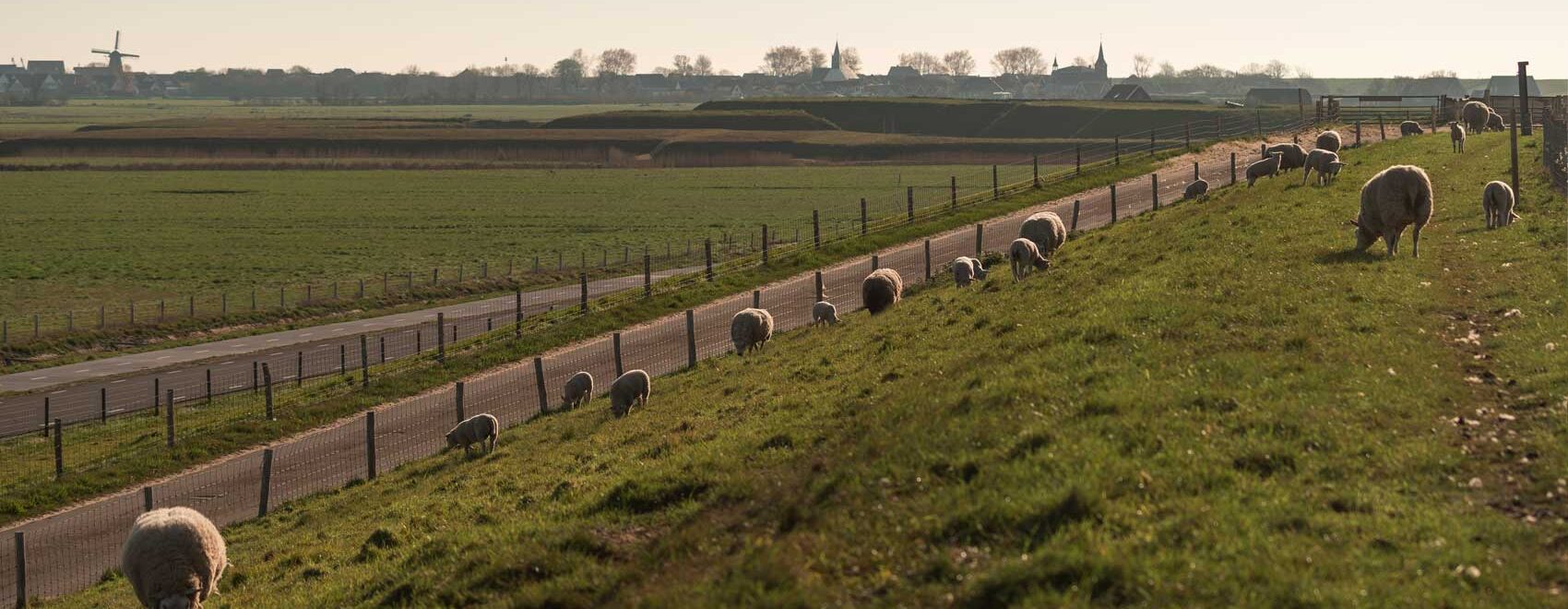 Waddendijk