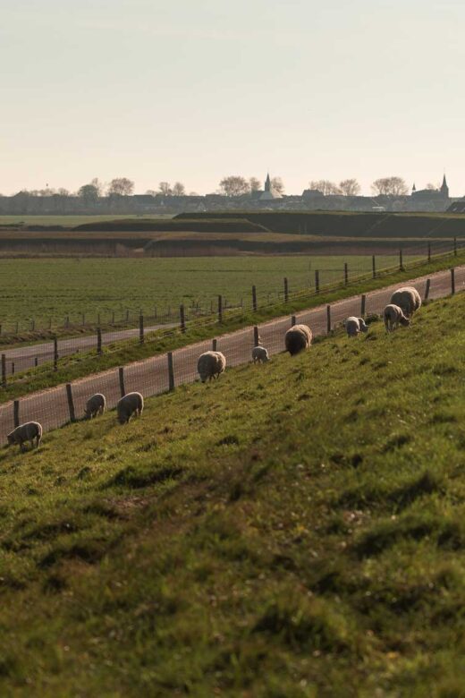 Waddendijk